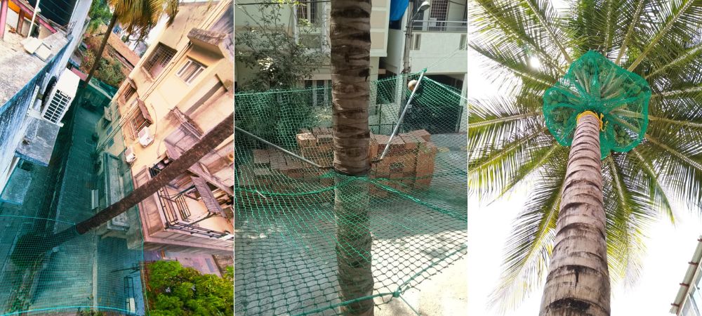 Coconut Safety Nets in Bangalore