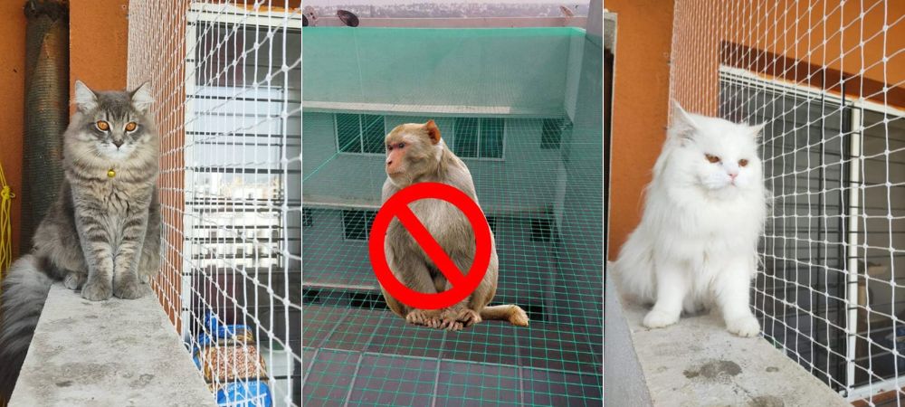 Monkey Safety Nets in Bangalore